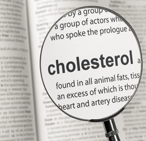 ketogenic diet and cholesterol
